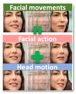 Learning Representations for Facial Actions from Unlabeled Videos